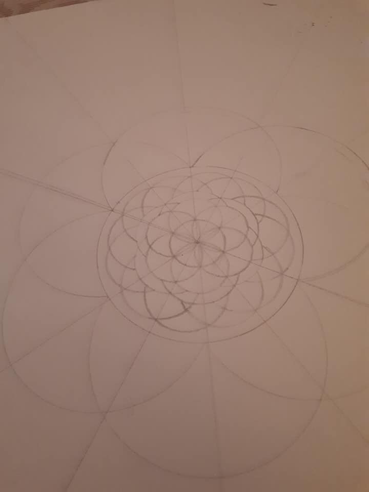 95217322 10163356560755203 4724994428291252224 N